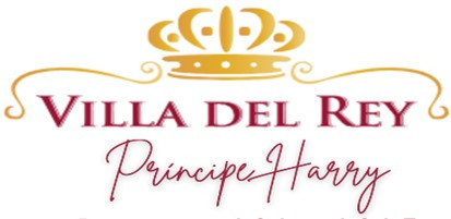 Cliente Harry - Desarrollo de software DEAPLIC